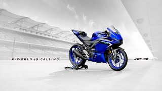 2025 Yamaha R3 a New Face in RWorld [upl. by Lole]