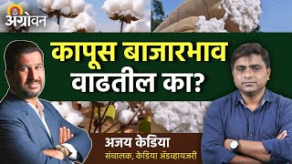 Cotton Market Rate कापूस बाजारभावात पुढच्या तीन महिन्यात काय परिस्थिती राहील  Agrowon [upl. by Attecnoc]