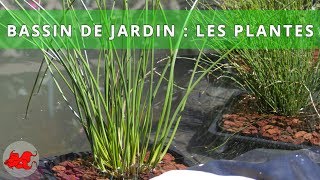 Bassin de jardin  Plantes aquatiques [upl. by Humfrid]