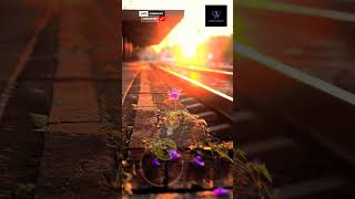 fill the song fill song relve station keshod flowers morning vairalshort trending [upl. by Notnroht]