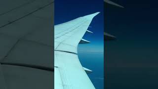 Wing Flex on 7878 Dreamliner in Light Turbulence [upl. by Boj526]