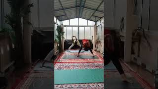 Yoga is a mirror to look at ourselves from within Wide Legged Forward BendPrasarita Padahastasana [upl. by Mae]