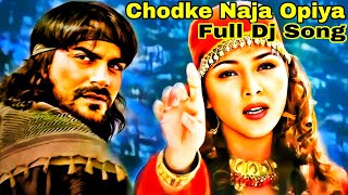 Chodke Naja Opiya Full Dj Song [upl. by Cheston]