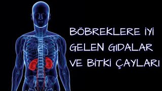 BÖBREKLERE İYİ GELEN GIDALAR VE BİTKİ ÇAYLARI [upl. by Adamik]