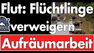 Hochwasser Flüchtlinge verweigern Arbeit  Leistungen gekürzt Bezahlkarten sorgen für Heimreisen [upl. by Dranreb]