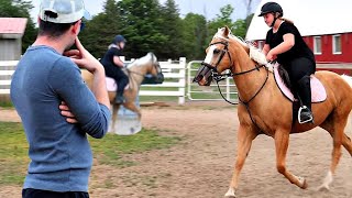 Did The Nose Net Stop Our Horse From Shaking His Head [upl. by Leola218]