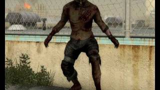 Left 4 Dead 2  Hoodless Hunter [upl. by Dnaltiak314]