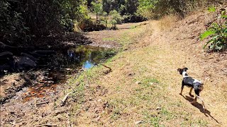 Rio água limpa está secando 😢 [upl. by Erie]