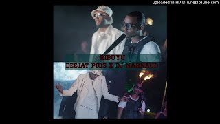 RIBUYU Deejay Pius amp Dj Marnaud Extended [upl. by Stanzel530]