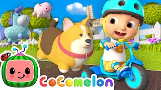 Me amp My Trike  How to Ride a Tricycle 🚲  CoComelon Nursery Rhymes amp Kids Songs [upl. by Kawai]