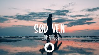 Sød Ven  Comatose Lyrics [upl. by Margie618]