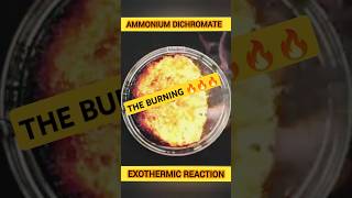 AMMONIUM DICHROMATE  Exothermic Reaction of Ammonium Chromate Snay64 ytshorts [upl. by Ennaihs]