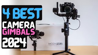 Best Camera Stabilizer of 2024  The 4 Best Camera Gimbals Review [upl. by Nairad]