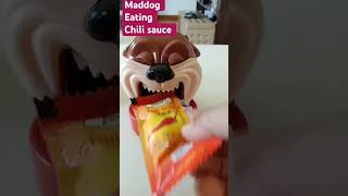 Maddog eating chili sauce ASMR satisfying youtubeshorts viralvideo trending shorts short [upl. by Alleda913]