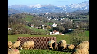 Randonnée autour de Saint Jean Pied de Port  Fiteranea au départ de Lasse [upl. by Holleran]