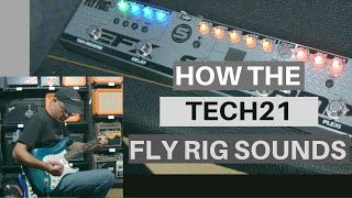 Settings and Pros of the Tech21 Fly Rig 5 V2 [upl. by Akeirahs818]