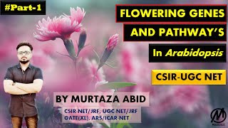 Flower Development Genes And Pathways in Arabidopsis thaliana  CSIRNET ICMR DBT Gate MSc [upl. by Brott623]