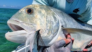 Saltwater fly fishing  Giant Trevally [upl. by Osithe]