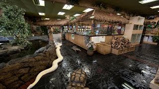 The Reptile Zoo 360° Tour [upl. by Novehc549]