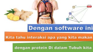 Bioinformatics 9 Tutorial analisis interaksi senyawa metabolit sekunder dng protein di dalam tubuh [upl. by Ahtnama]