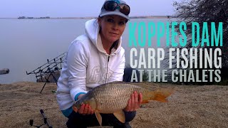 Carp fishing and chalets at Koppies Dam South Africa Aug 2018 [upl. by Llerahs]