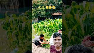 Tau ki lungi m Saap🐍🐍😂😂 comedy funny snake animals laughing shorts trending youtubeshorts [upl. by Noirda744]