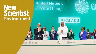 COP28 live stream World leaders make opening statements at UN climate conference [upl. by Nofets531]