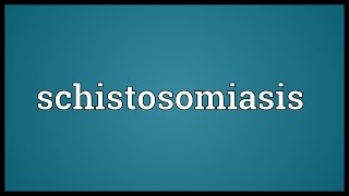 Schistosomiasis Meaning [upl. by Pacificas]