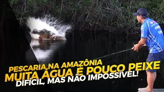 Muita água e pouco peixe Difícil mas não impossível [upl. by Madea221]