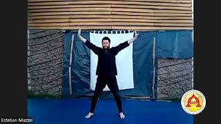 Clase de Tai Chi Chuan Online 19hs 05112024 [upl. by Nedlog]