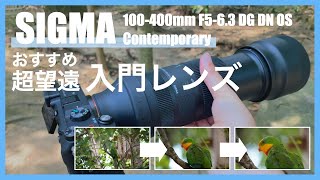 【作例あり】超望遠レンズの入門機？ SIGMA 100400mm F563 DG DN OS  Contemporary レンズレビュー [upl. by Nossyla]