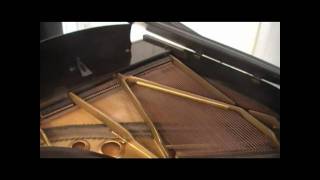 Aeolian Baby Grand Piano [upl. by Adnohsak579]