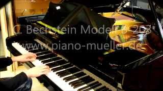 C Bechstein Modell B 203 [upl. by Pazia]