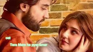 song Tera Mera ha pyar amar [upl. by Hsreh821]