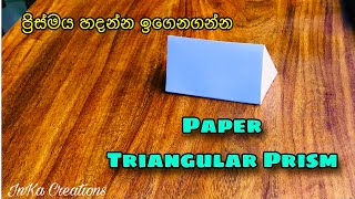 Triangular prism 3D model  Build a perfect Triangular prism in minutes with paper  Paper Prism [upl. by Karilla59]