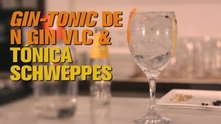 Recetas Cómo hacer un Gintonic con ginebra N [upl. by Giustina546]