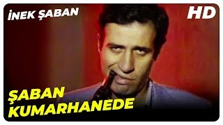 Şaban Kumarhanede  İnek Şaban Eski Türk Filmi [upl. by Sy837]