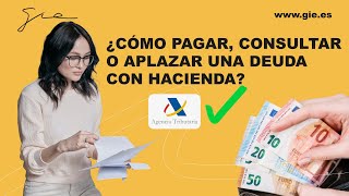 ✅¿Cómo Pagar Consultar o Aplazar una Deuda con Hacienda Paso a paso👩‍💻  GRUPO GIE [upl. by Eimar]