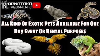 All Kind Of Exotic Pets Available For One Day Event Or Rental Purposes Only At Karnataka Aquarium [upl. by Moises45]