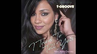 TGROOVE amp ANIA GARVEY  I Tried To Tell You FUNK 2024 [upl. by Latt51]