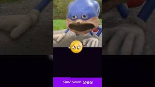 Poor Shin Sonic 😭😭😭😭😭  HorrorSkunx  Bouncing Square sonic [upl. by Annez]