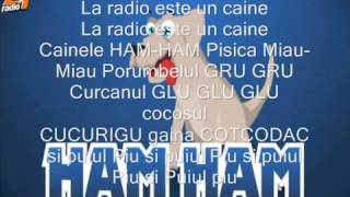 Puiul Piu lyrics romana [upl. by Drofnelg]