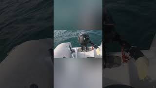 A very quick sea fishing trip dinghy mackerelfishing boatingadventure [upl. by Rogerio]