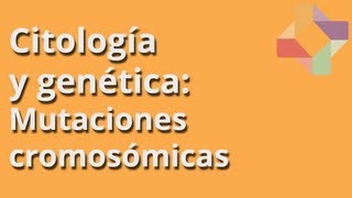 Mutaciones cromosómicas  Citología y Genética  Educatina [upl. by Ahseinet123]