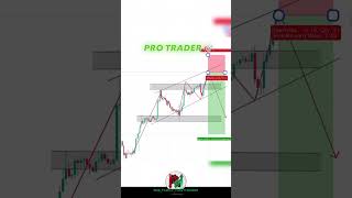 NEW TRADER VS PRO TRADER stockmarket howtotradechartpatterns trading whatnottodointrading [upl. by Constanta]