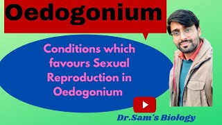 Conditions which favours Sexual Reproduction in Oedogonium [upl. by Lilllie]