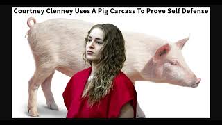 Courtney Clenney Demonstrates SelfDefense Claim Using Pig in Court [upl. by Monagan68]