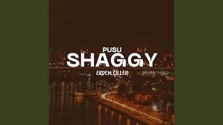 Pusu Shaggy [upl. by Dnomyad83]