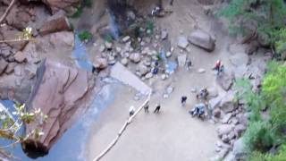 Heaps Canyon in Zion National Park  300ft Rappel from Birds Nest [upl. by Dasteel314]