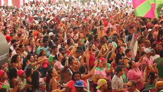 Quadra da Mangueira  Apuração Carnaval 2019  MangueiraCampeã Carnaval2019   MAH9982 [upl. by Arret]